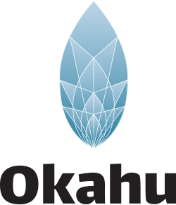 Okahu Trace Visualizer